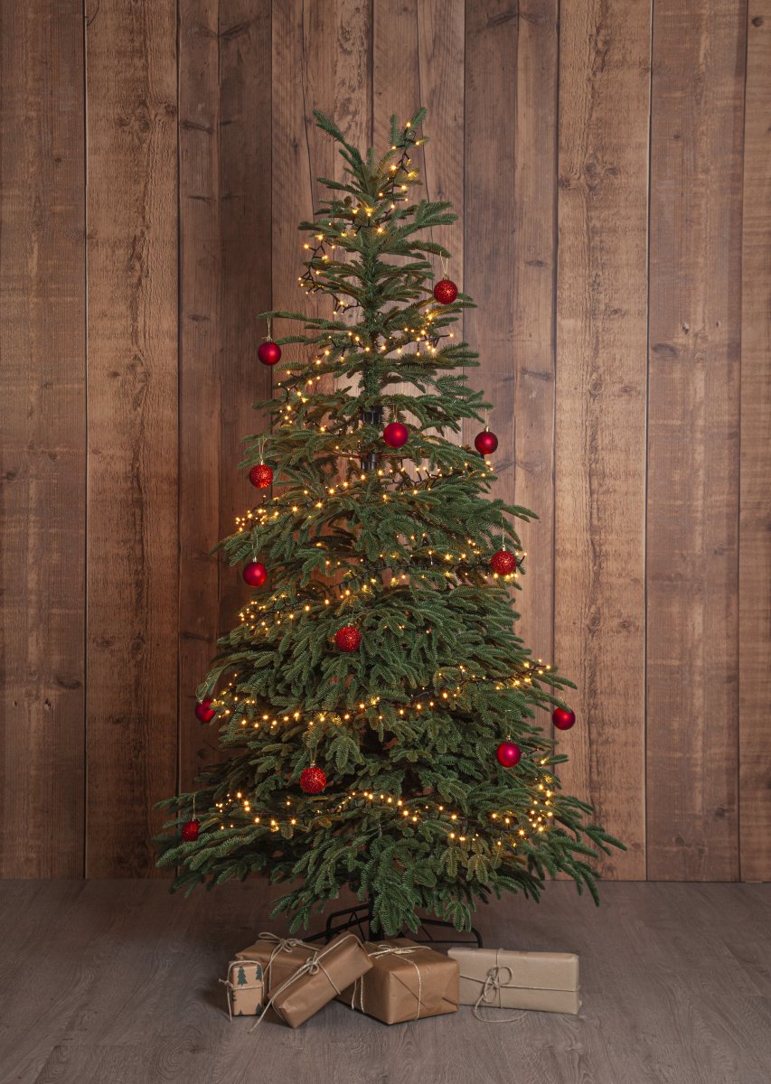 Edane 210cm Groente Van Star Trading - Edane is een levensechte kunstboom met een hoogte van 210 cm en licht hangende takken in een diepgroene kleur.