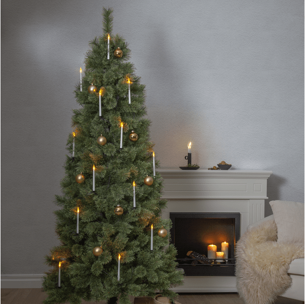 Cembrini 210cm Groente Van Star Trading - De kerstboom is 210 cm hoog en 100 cm breed, waardoor hij zowel binnen als buiten gemakkelijk te plaatsen is.