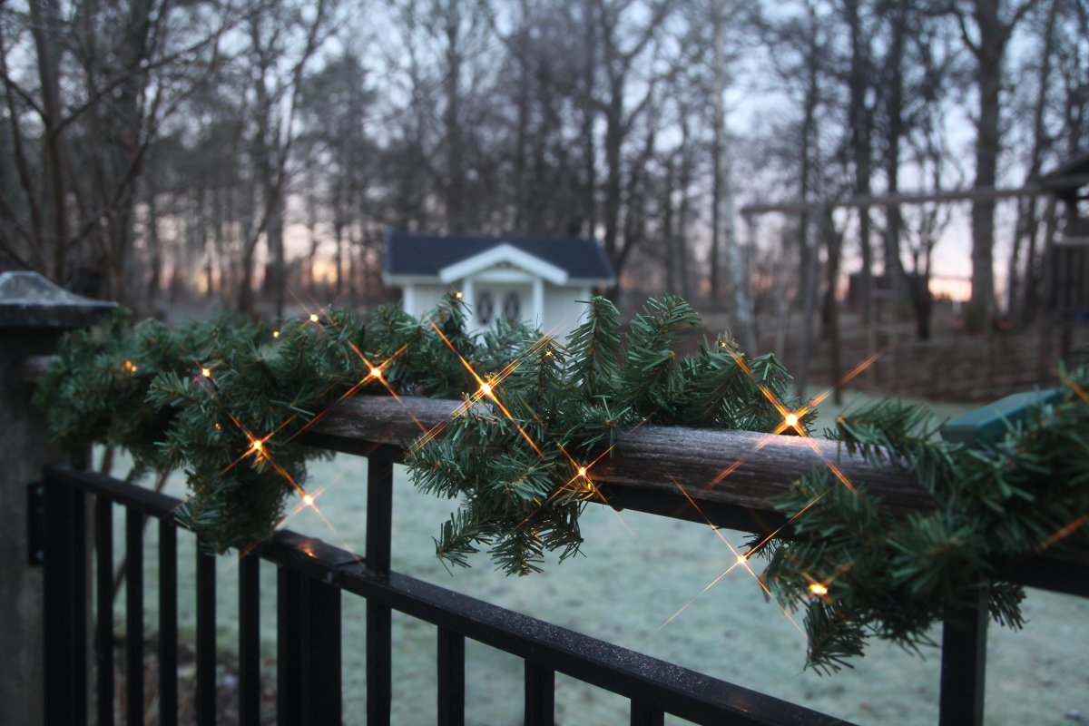 Canadian 250cm Groente Van Star Trading - Slinger op batterijen met 30 LED-lampjes.