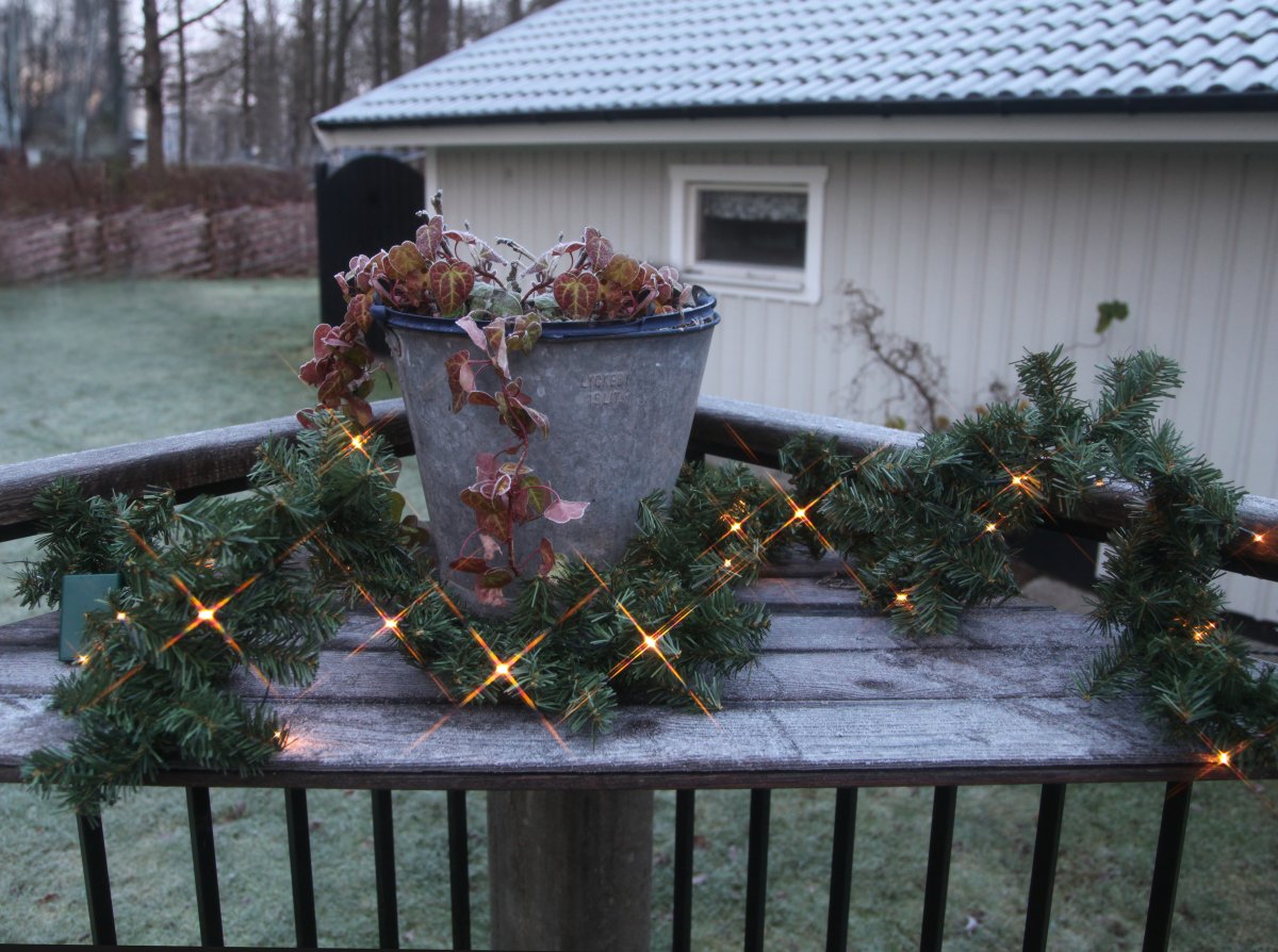 Canadian 250cm Groente Van Star Trading - Slinger op batterijen met 30 LED-lampjes.