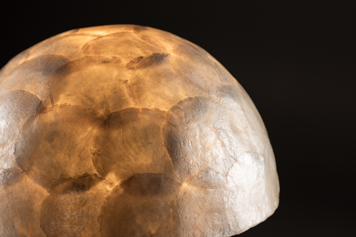 Lindön 48cm Beige tafellamp Van Venture Design - Zet het op een bijzettafeltje of bureau en laat Linden een moderne en elegante toets aan uw interieur toevoegen.