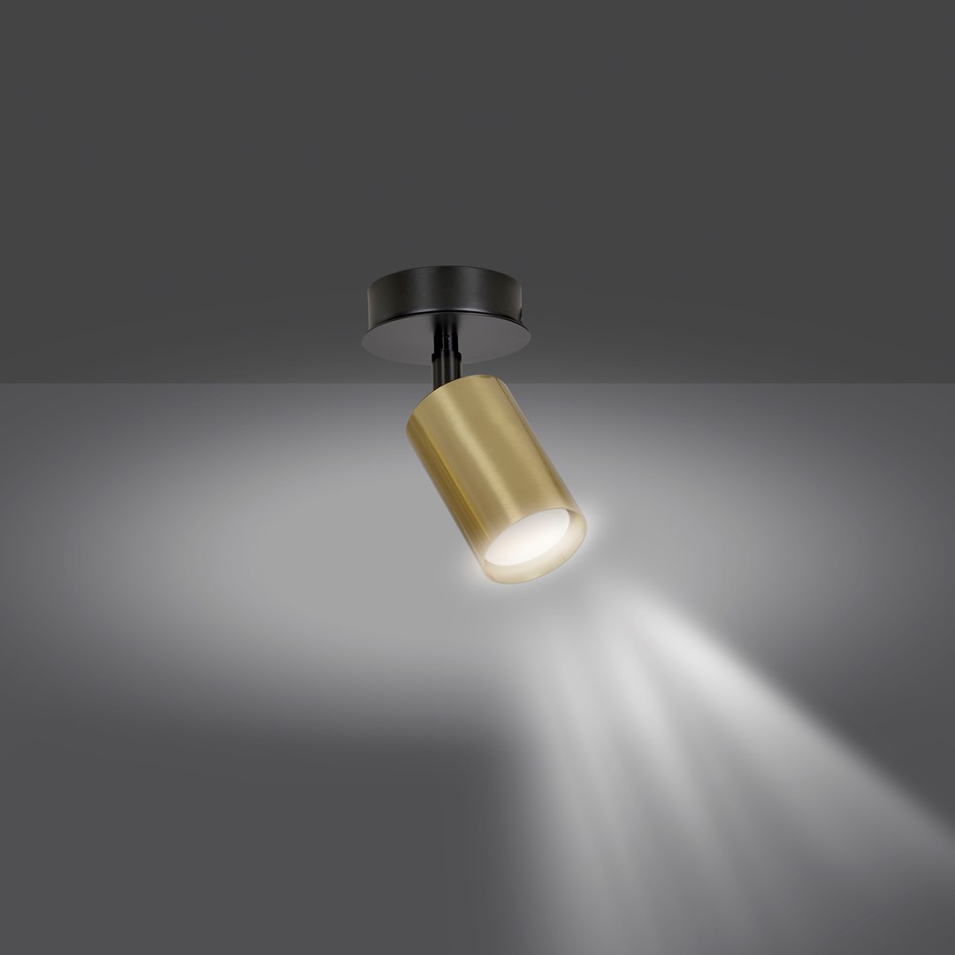 Zen Goud spot Van Emibig Lighting - Door het gerichte licht zijn ze ideaal als extra verlichting boven het aanrecht, in de gang of naast het bed.