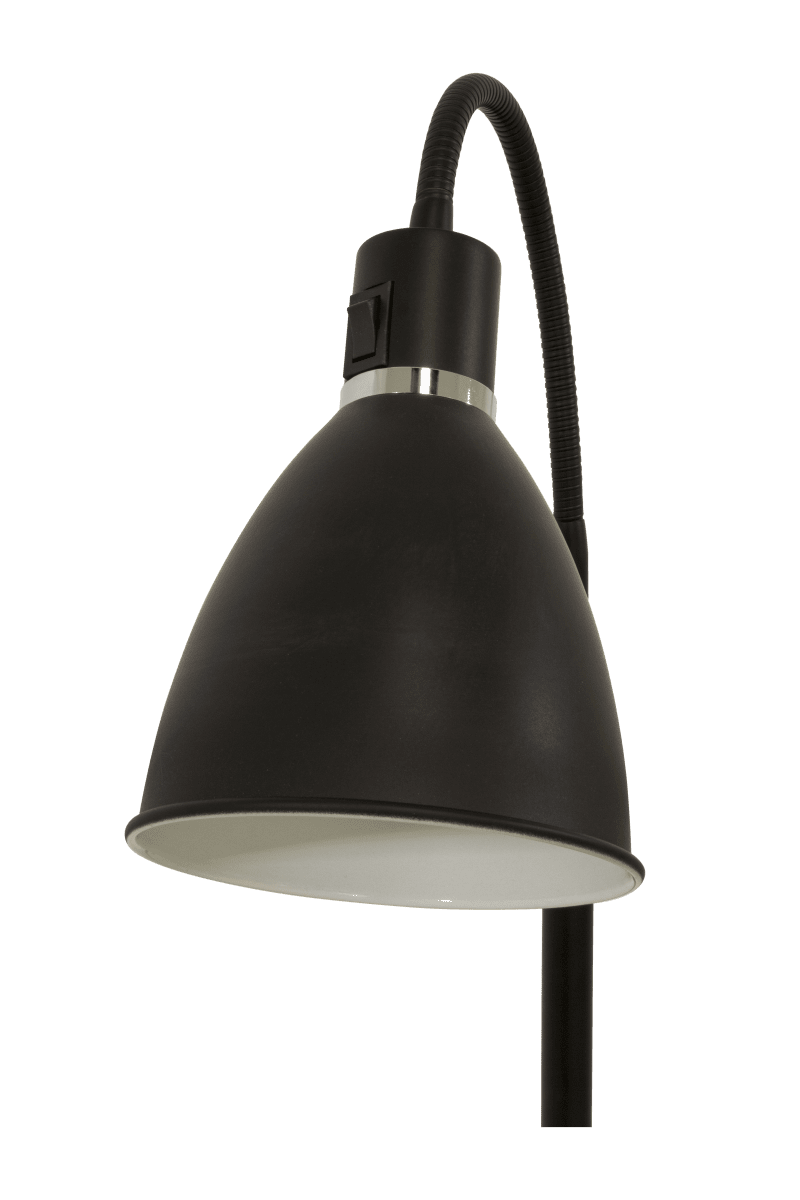 Idre 1 Zwart vloerlamp Van Aneta Lighting - Idre is een stijlvolle staande lamp in matzwart metaal met een elegante decoratieve ring in chroom.