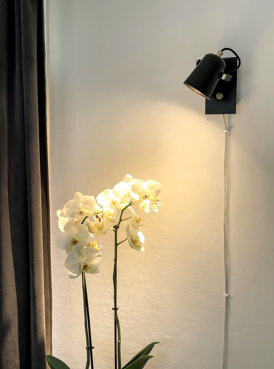 Metz Zwart leeslamp Van Aneta Lighting - Zwart met messing details en met zijn stijlvolle vorm heeft hij een klassieke uitstraling in een moderne vintage stijl.