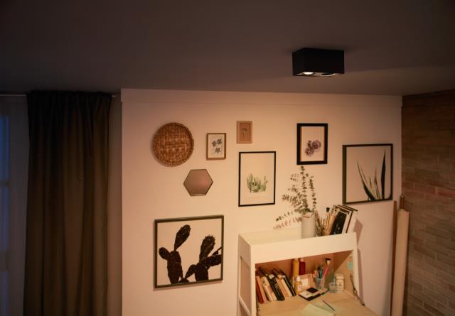 Box 2 Zwart spot Van Philips - Pas de sfeer van de kamer aan op de activiteit.