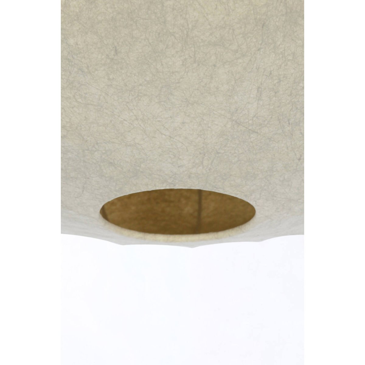 Fay Ø50 Bruin plafondlamp Van Light & Living - 