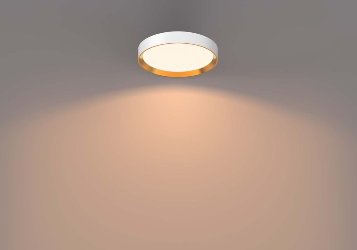 Hanno Ø38 Wit plafondlamp Van Philips - De Philips Hanno SceneSwitch LED-plafondlamp biedt u drie helderheidsniveaus die geschikt zijn voor elke gelegenheid.