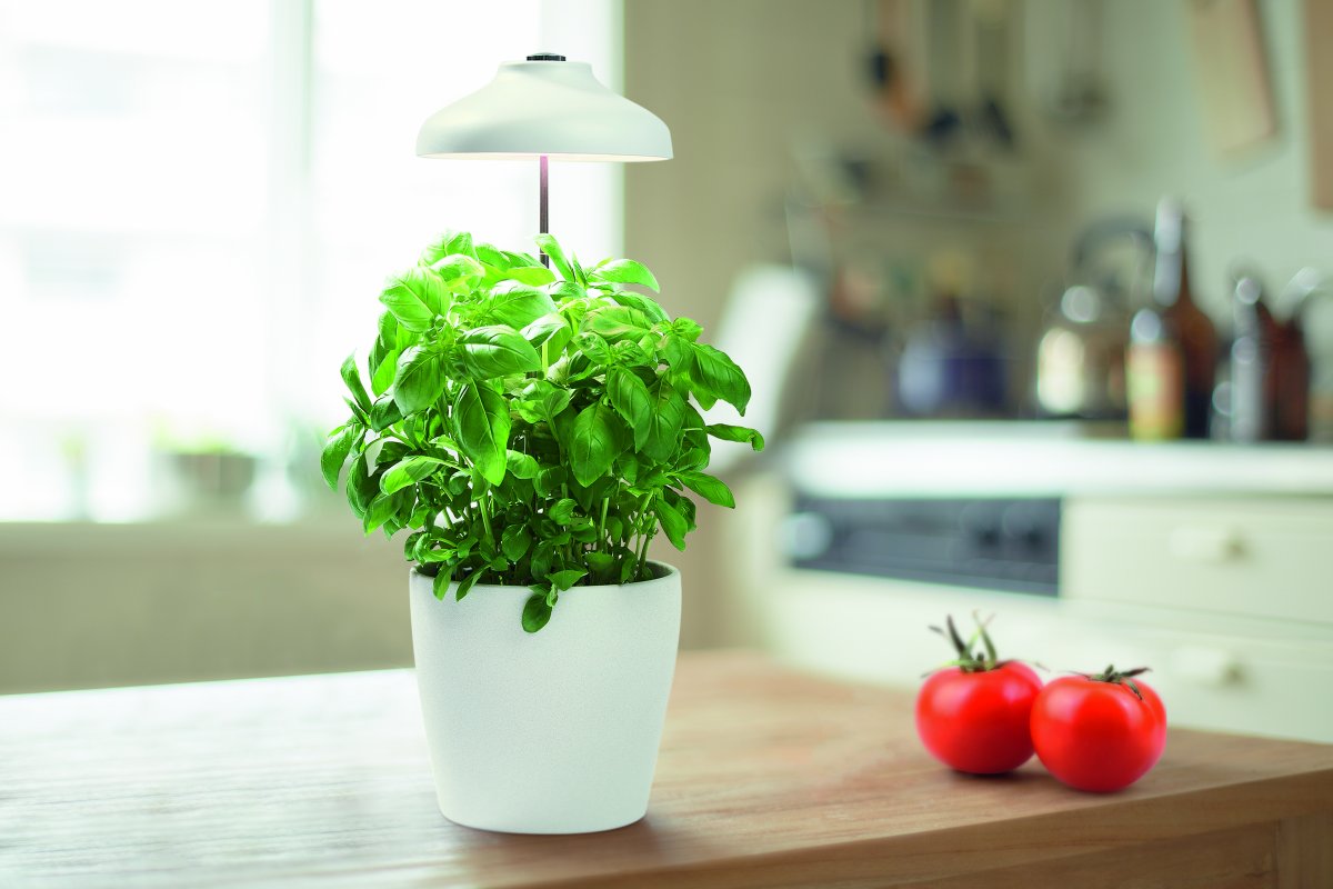 Plantlamp Garden Umbrella USB Wit Van Ledvance - Het scherm heeft een speciaal ontwikkeld LED-spectrum van witte en rode LED's die de fotosynthese bij de meeste planten bevorderen en zo de groei van je planten stimuleren.