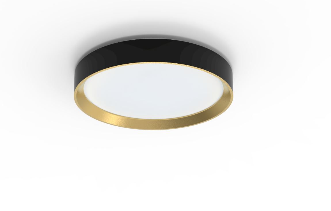 Hanno Ø38 Zwart plafondlamp Van Philips - De Philips Hanno SceneSwitch LED-plafondlamp biedt u drie helderheidsniveaus die geschikt zijn voor elke gelegenheid.