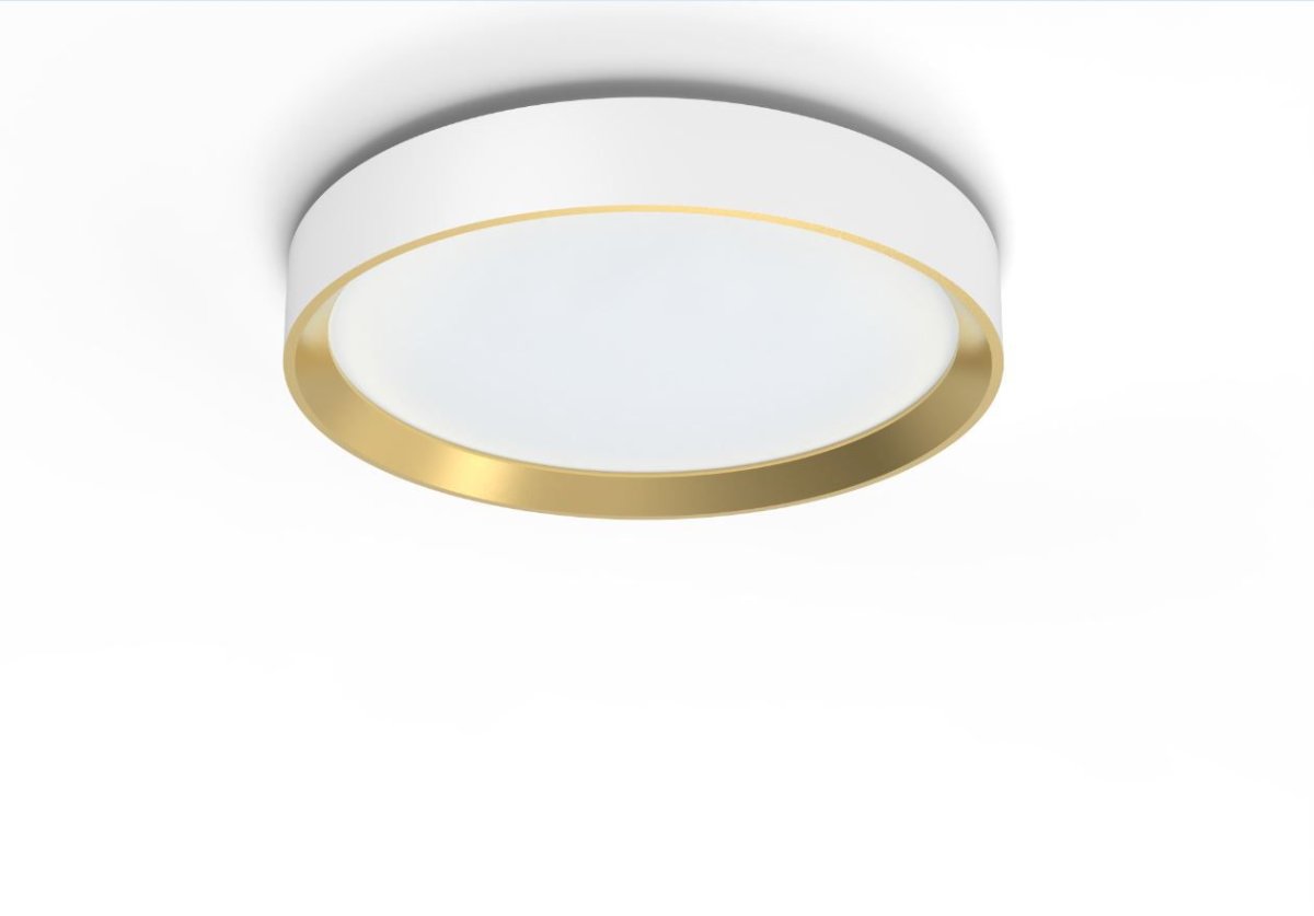 Hanno Ø38 Wit plafondlamp Van Philips - De Philips Hanno SceneSwitch LED-plafondlamp biedt u drie helderheidsniveaus die geschikt zijn voor elke gelegenheid.
