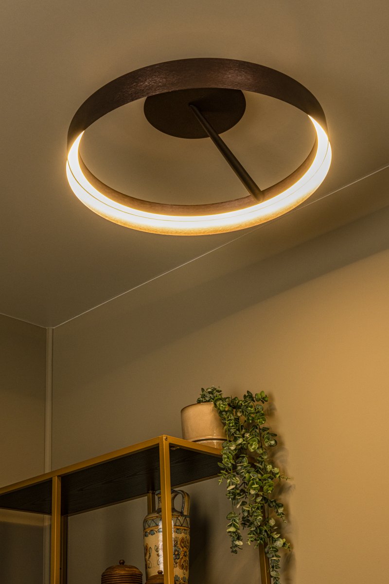 Leonard Ø55 Bruin plafondlamp Van Lucide - De lamp is in drie stappen dimbaar met een standaard wandschakelaar, waardoor de helderheid eenvoudig aan de situatie kan worden aangepast.