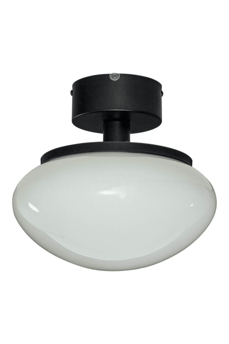 New August Ø27 Zwart plafondlamp Van Aneta Lighting - Voor wie een lamp met karakter wil, maar niet de kamer overneemt, is New August de ideale keuze - een stijlvol detail dat uw gehele interieur verfraait.