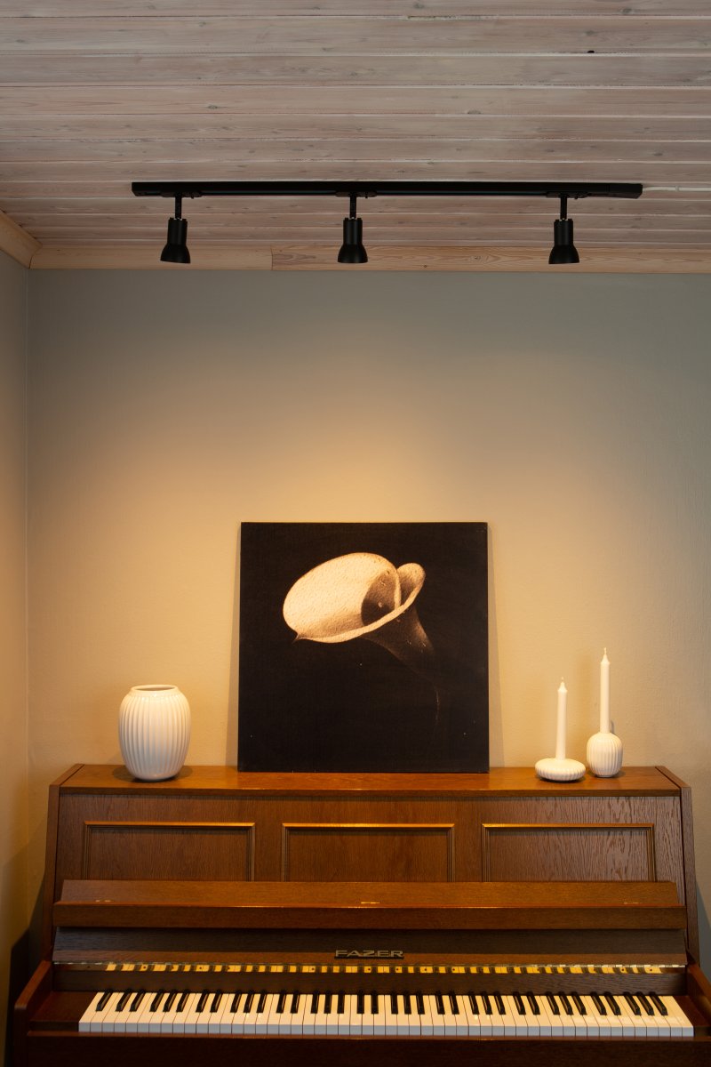 Slim spot Zwart Van Aneta Lighting - 