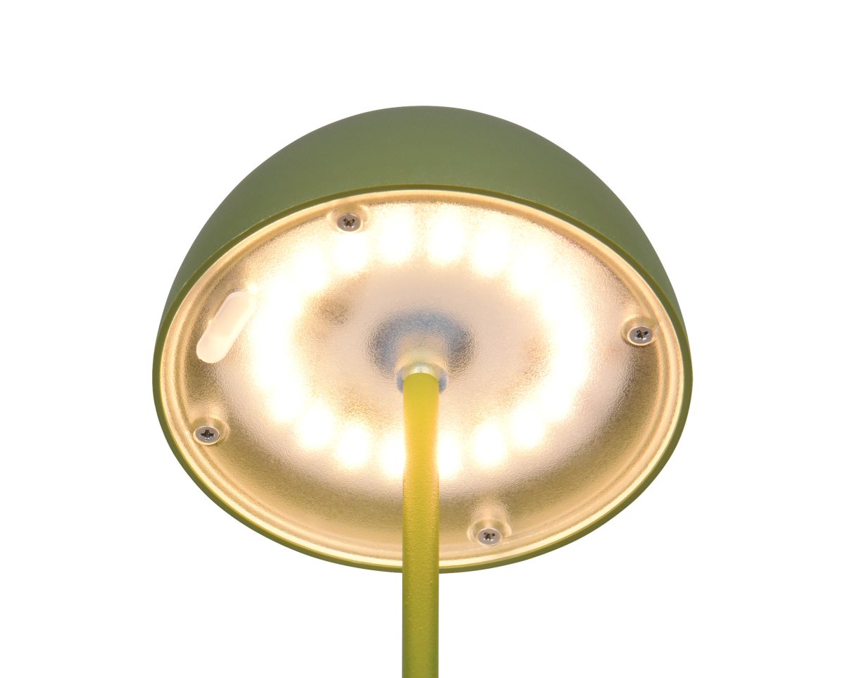 Ortiz 20cm Groente Draagbare Van Trio Lighting - 