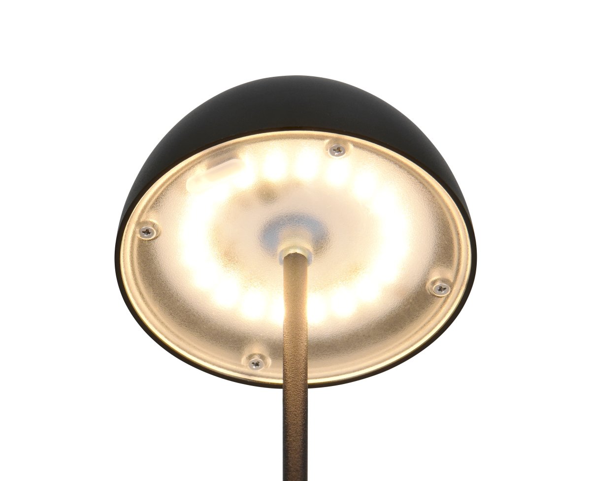 Ortiz 20cm Zwart Draagbare Van Trio Lighting - 