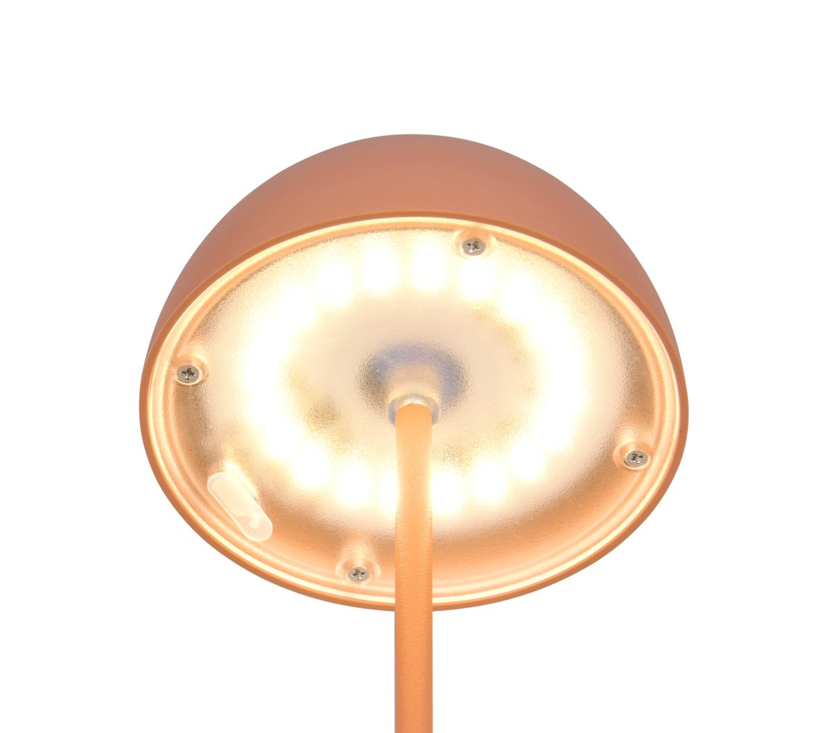Ortiz 20cm Abrikoos Draagbare Van Trio Lighting - 
