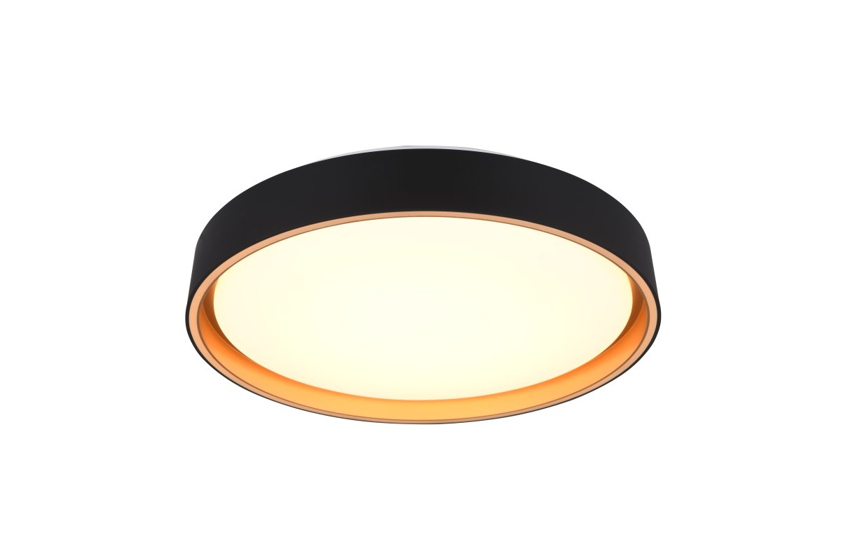 Felis Ø40 Zwart plafondlamp Van Trio Lighting - Met de afstandsbediening kunt u eenvoudig de helderheid en de lichtkleur aanpassen, zodat u de perfecte, gezellige verlichting voor uw woonkamer cre&euml;ert.