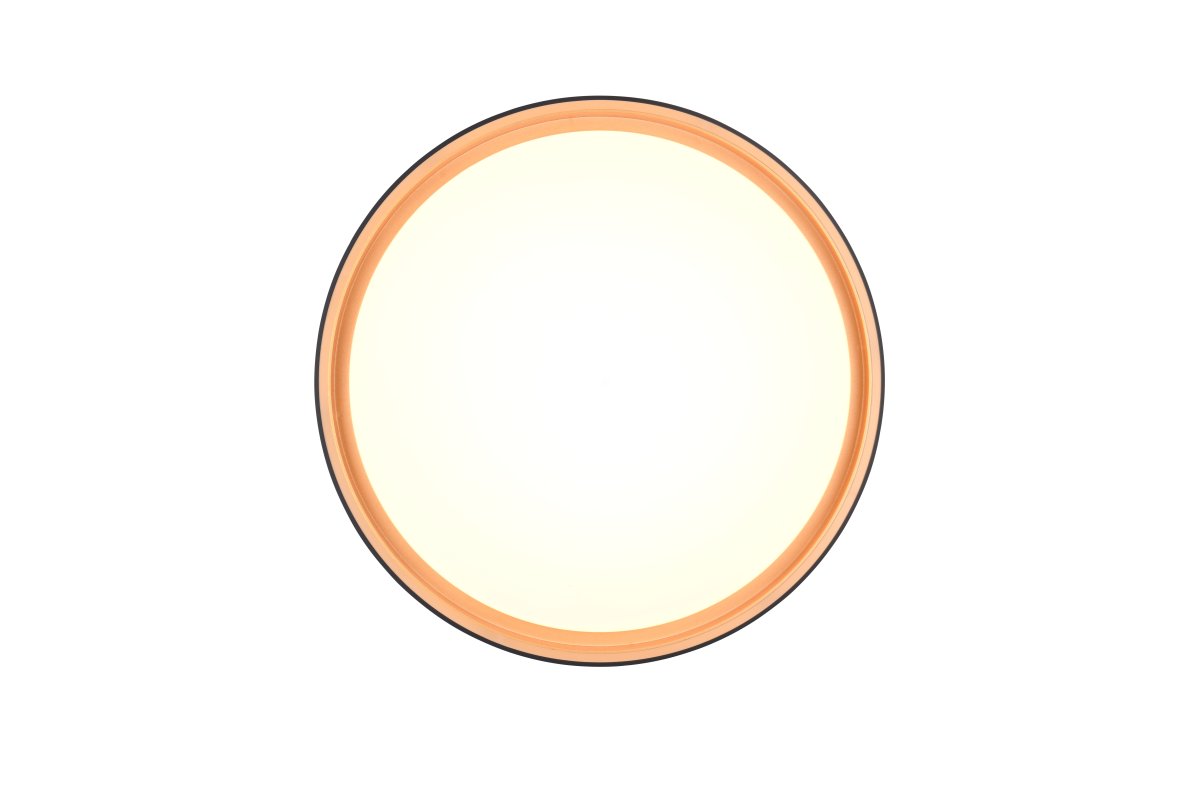 Felis Ø40 Zwart plafondlamp Van Trio Lighting - Met de afstandsbediening kunt u eenvoudig de helderheid en de lichtkleur aanpassen, zodat u de perfecte, gezellige verlichting voor uw woonkamer cre&euml;ert.