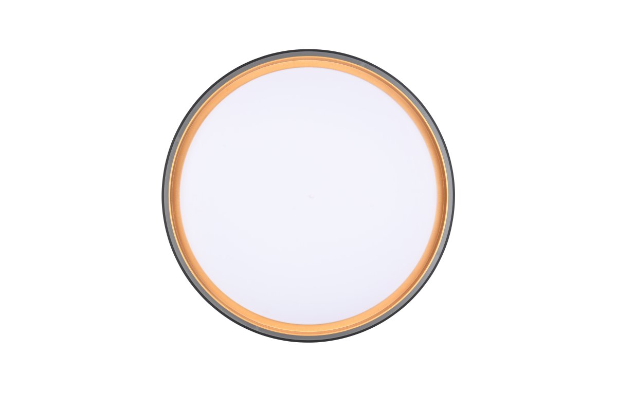 Felis Ø40 Zwart plafondlamp Van Trio Lighting - Met de afstandsbediening kunt u eenvoudig de helderheid en de lichtkleur aanpassen, zodat u de perfecte, gezellige verlichting voor uw woonkamer cre&euml;ert.