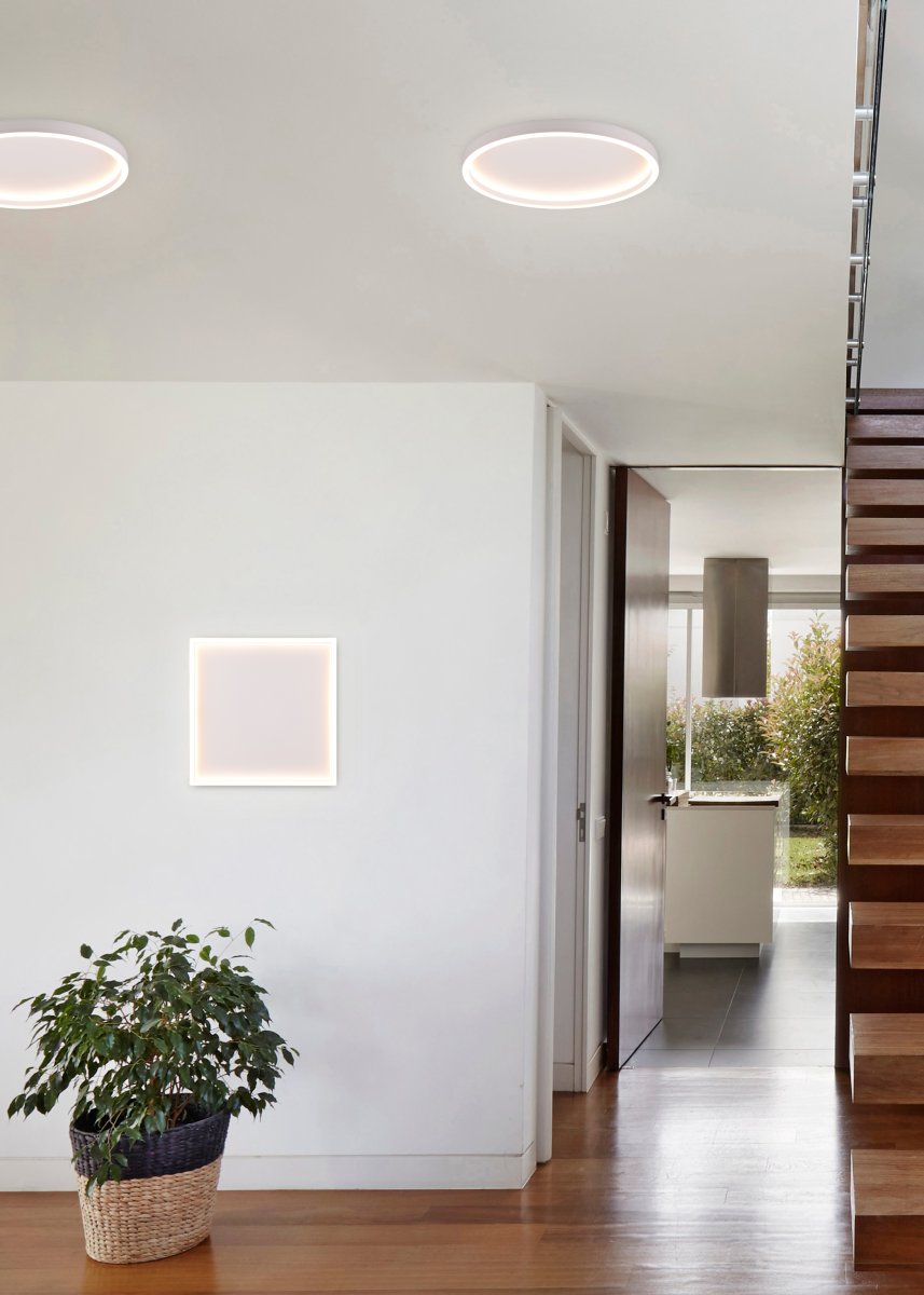 Rotonda Ø35 Wit plafondlamp Van Trio Lighting - 