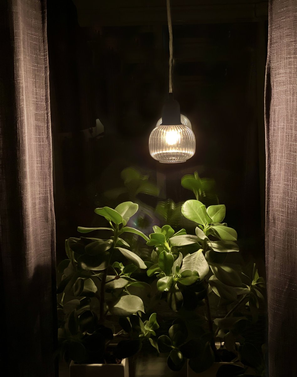 Elin Ø10 Rookkleurig raamlamp Van Aneta Lighting - of meer, afhankelijk van de grootte van de ramen en de stijl die u wilt creëren.