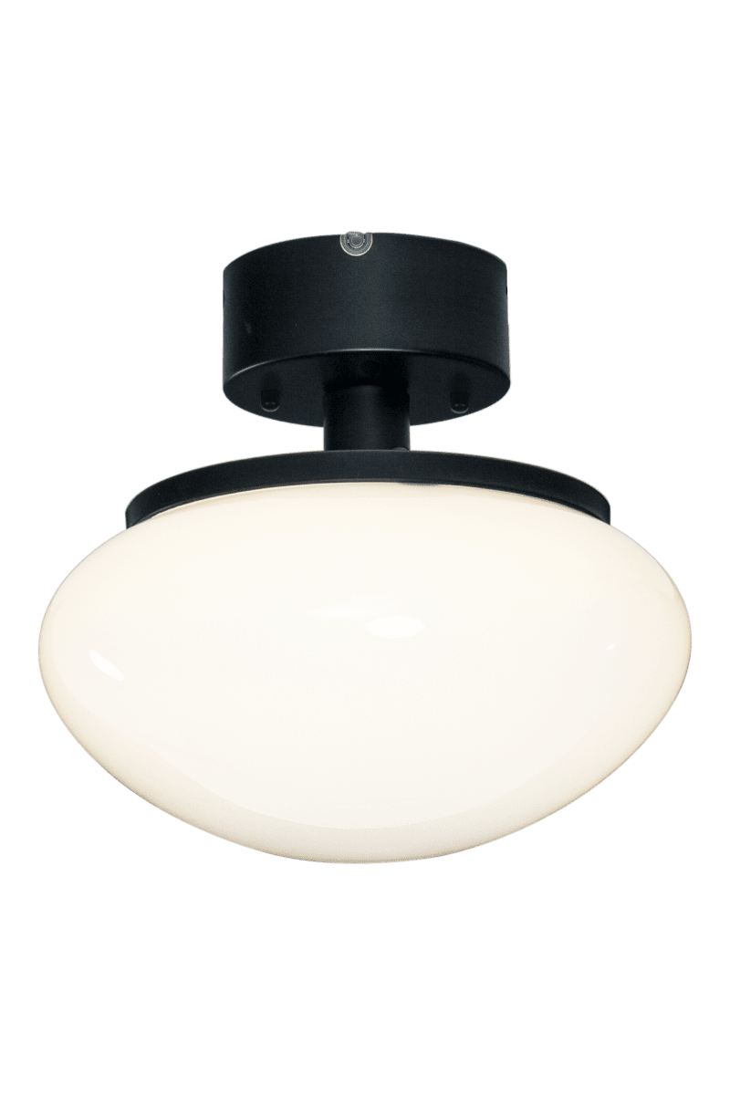 New August Ø27 Zwart plafondlamp Van Aneta Lighting - Voor wie een lamp met karakter wil, maar niet de kamer overneemt, is New August de ideale keuze - een stijlvol detail dat uw gehele interieur verfraait.